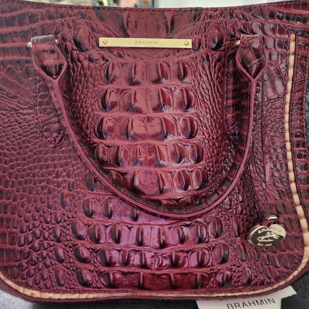NWOT Brahmin Medium Lena Tart Arendelle Tote ❤️
